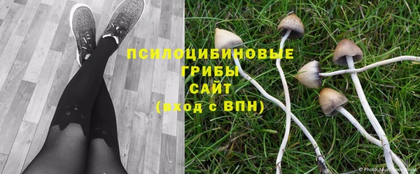 a pvp Алзамай