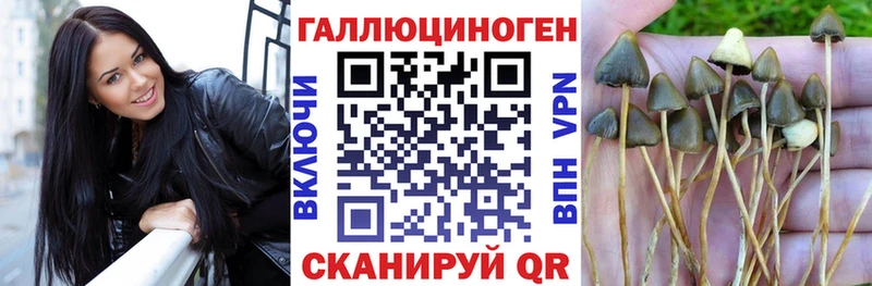 Галлюциногенные грибы мухоморы  мега ссылки  Куртамыш 